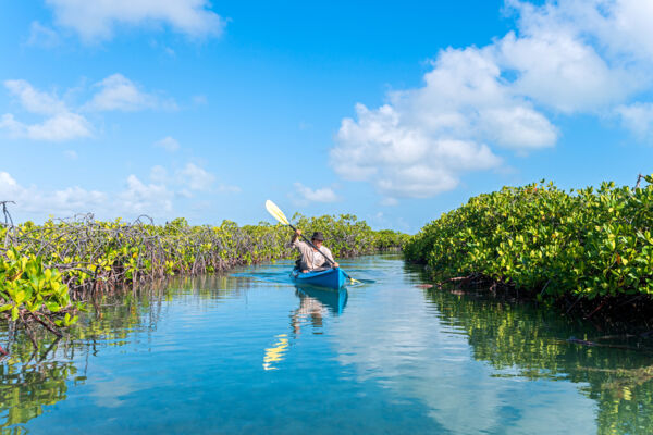 Kayaking in the red mangrove channels off Middle Caicos