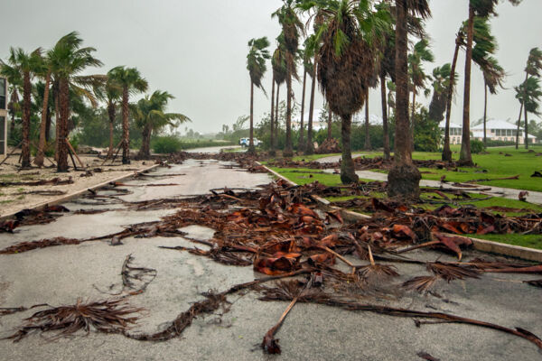Damage to the grounds and landscaping at the Golf Club after Hurricane Ike in 2008