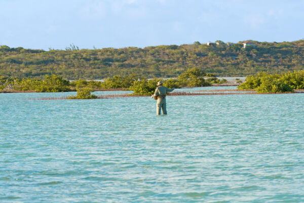 Flats fishing in Turtle Lake on Providenciales