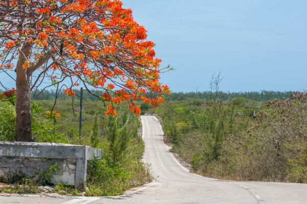 The central road through the settlement of Bambarra on Middle Caicos