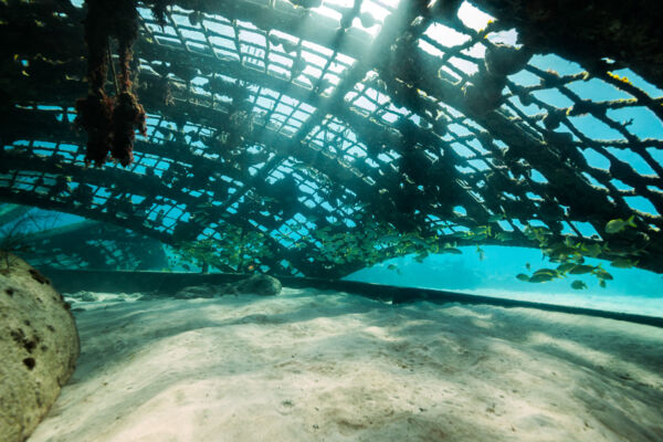 Inside the collapsed Thunderdome at Malcolm's Road Beach