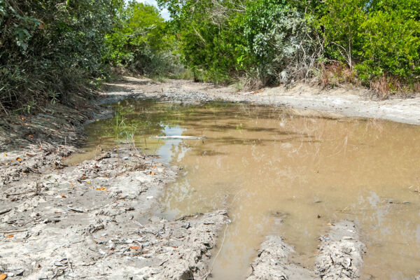 Mud hole and driving hazard on a back road in North Caicos