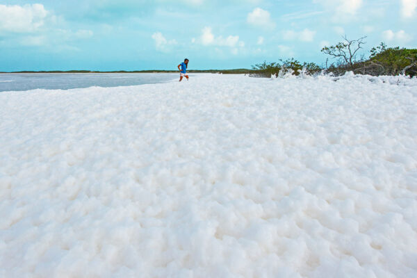 Sea salt foam on a windy day in a wetland on Providenciales