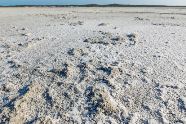 Natural sea salt crystals in a tidal flat in the Frenchman's Creek Nature Reserve on Providenciales