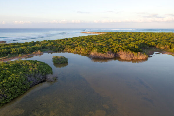 The sheltered Northwest Point Pond Nature Reserve on Providenciales