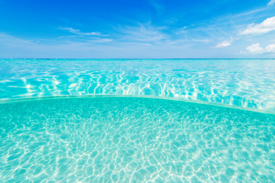 Over-under photo of the swimming pool-like water at the Bight Beach in the Turks and Caicos