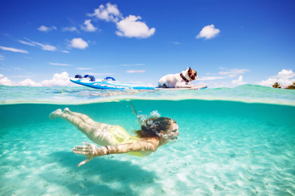 Overunder photo with swimmer and dog in the ocean in the Turks and Caicos