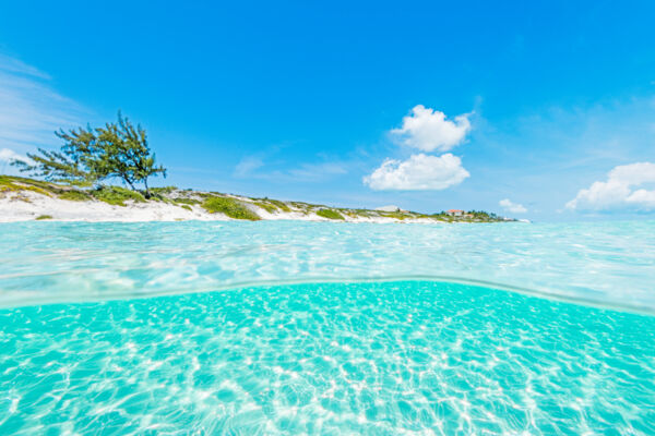 Over-under photo of the clear ocean water at Long Bay Beach in the Turks and Caicos