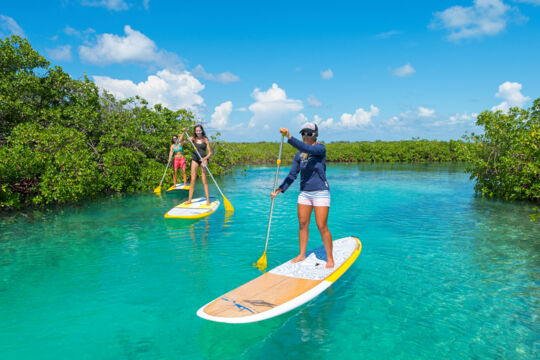 Paddle boarders in the channel in Mangrove Cay in the Turks and Caicos
