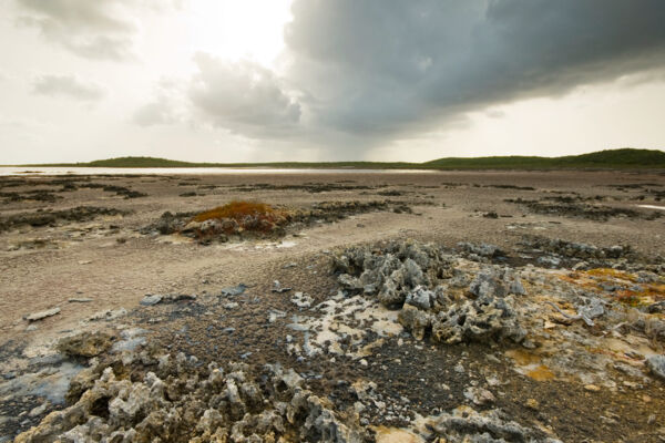 Rock formations at the Pigeon Pond Nature Reserve in the Turks and Caicos