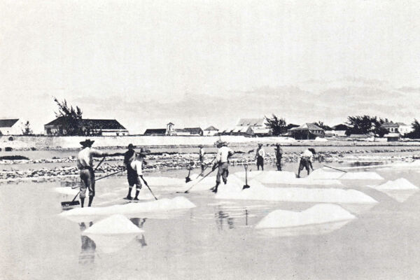 Historical photo of salt being raked at Red Salina on Grand Turk