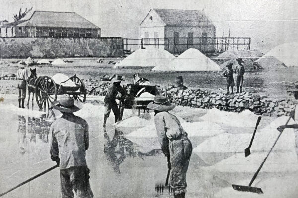 Historical photo of salt rakers on Grand Turk, sometime in the 1920s