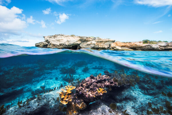 Beautiful snorkeling reef at the limestone cliffs of West Caicos