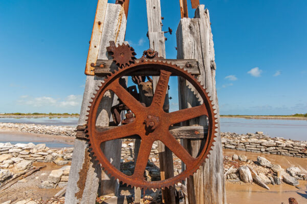 Cast iron gear on an old windmill on South Caicos