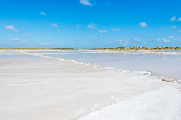 White sea salt crystal in the Hawkes Nest Salina on Grand Turk