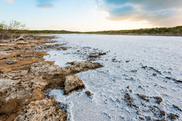 Natural sea salt in a salt flat on Providenciales