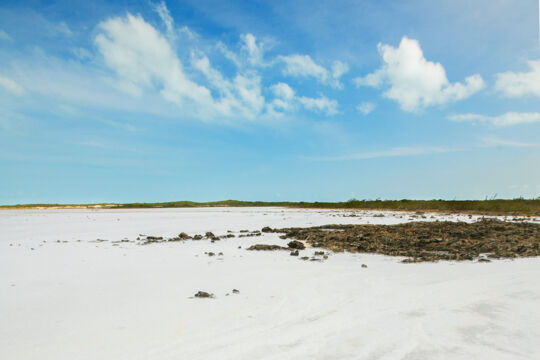 Sea salt flat in the Frenchman's Creek and Pigeon Pond Nature Reserve in the Turks and Caicos