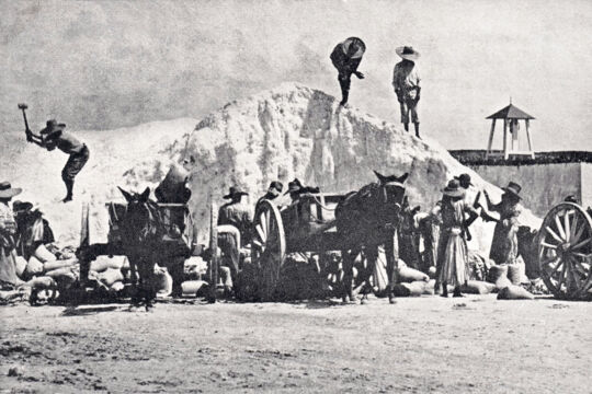 Historical photo of sea salt being bagged on Grand Turk