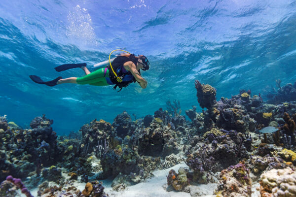 Scuba diver at a shallow reef in the Turks and Caicos