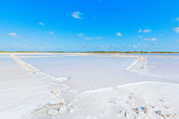 Natural sea salt at Hawkes Nest Salina in the Turks and Caicos