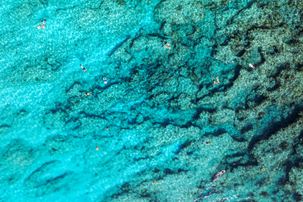 Overhead view of snorkelers on the barrier reef.