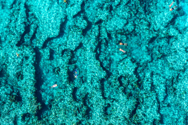 Snorkelers on the Turks and Caicos Barrier Reef.
