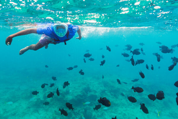 Snorkeler with full face mask at the barrier reef near Providenciales