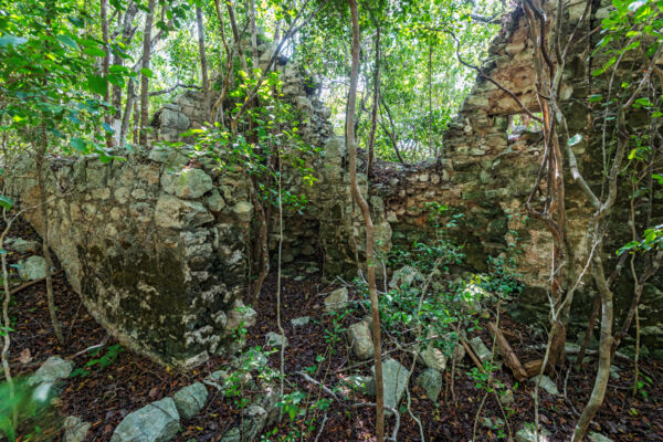 Teren Hill Plantation in Turks and Caicos