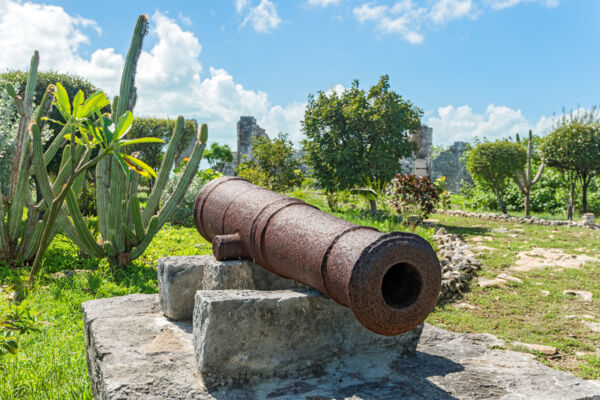 Cannon at Cheshire Hall Plantation