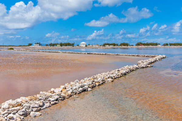 The walls and brine at Town Salina on Salt Cay