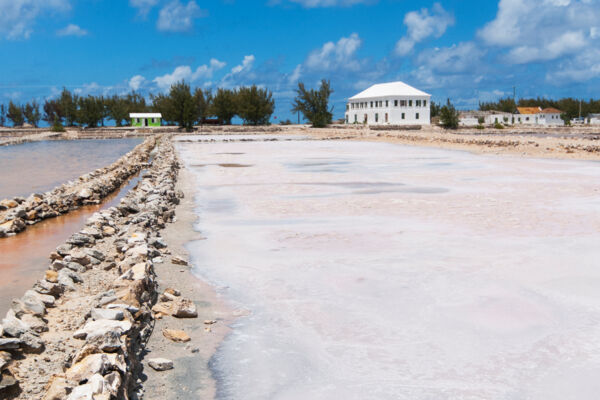 Sea salt in the salinas at Salt Cay in the Turks and Caicos