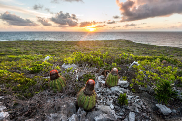 Sunrise at Goods Hill on East Caicos