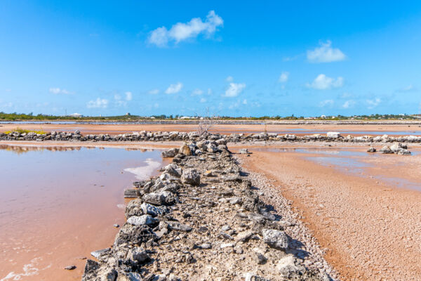 Old salt saline on South Caicos