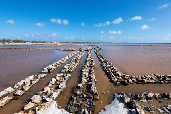 Channel walls in the sea salt salinas on Salt Cay