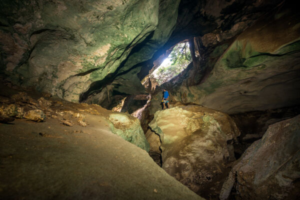 The western gallery in Conch Bar Caves on Middle Caicos