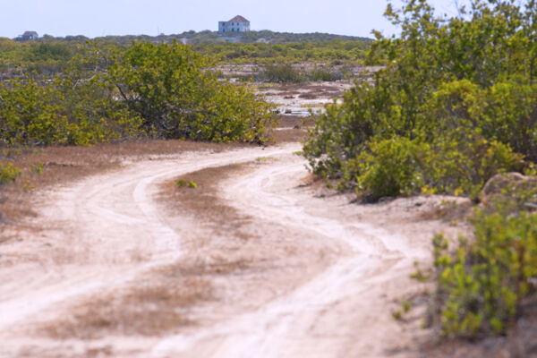 The salina road to the Highlands on South Caicos