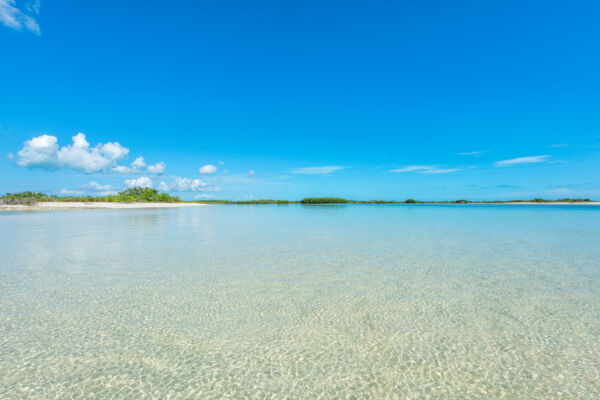 Shallows in the Frenchman's Creek and Pigeon Pond Nature Reserve on Providenciales