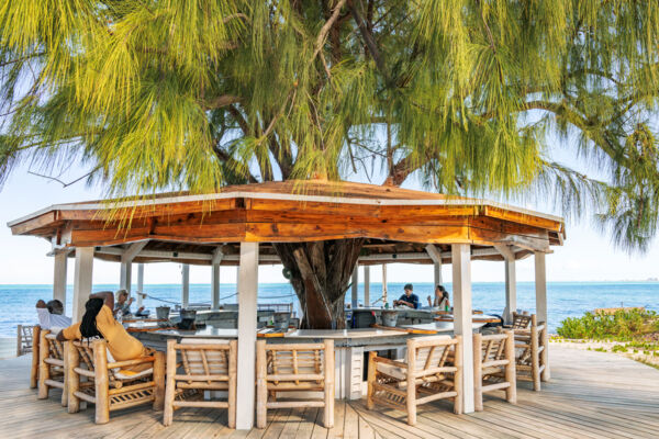 Gazebo bar on the beach. 