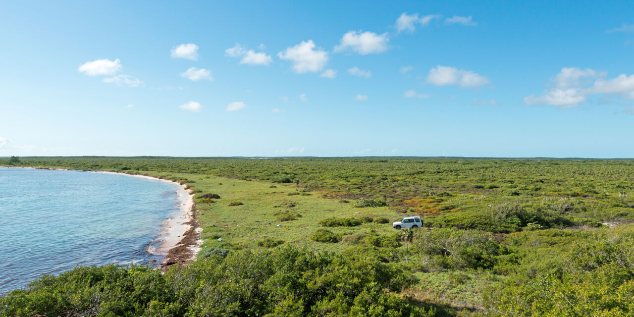 Al's Rent A Car Visit Turks and Caicos Islands
