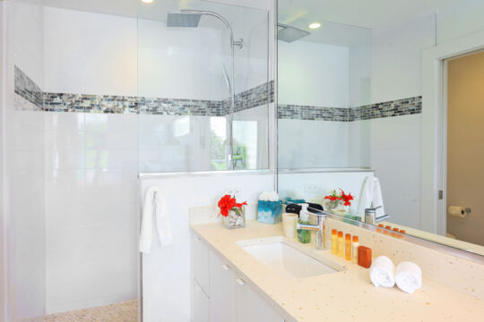 Shower and sink in modern bathroom