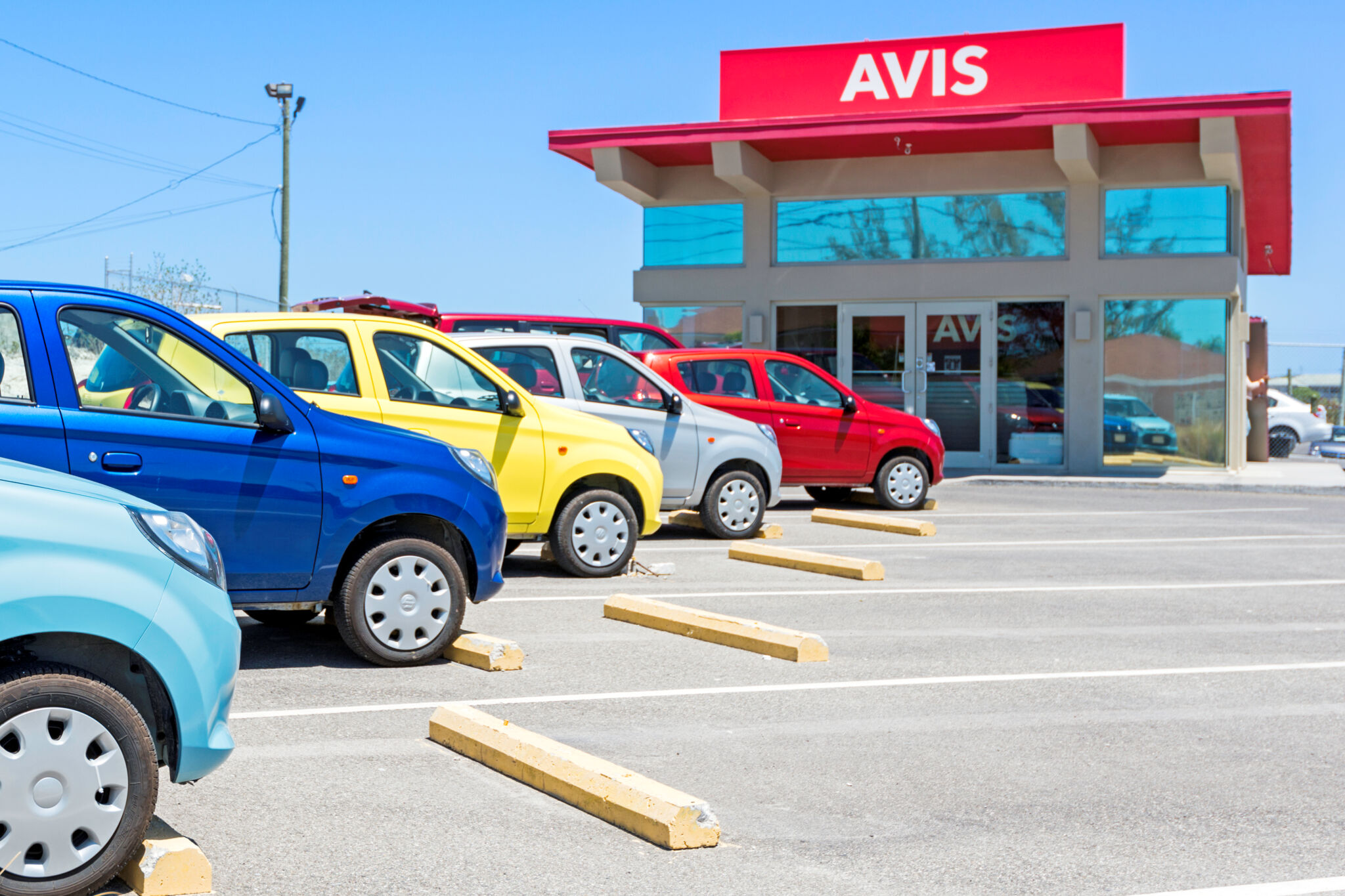 avis car rental