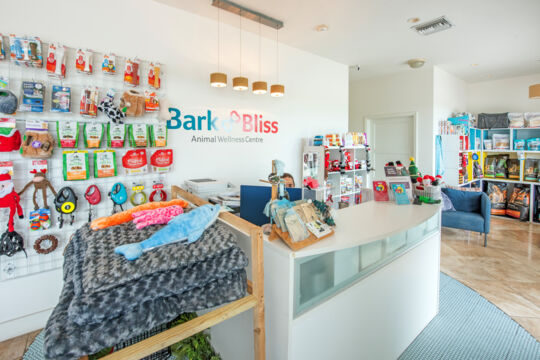 Interior of Bark + Bliss