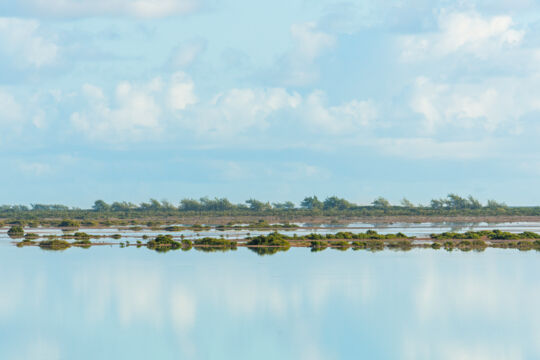 Calm and glassy water at Bay Cay and Bottle Creek
