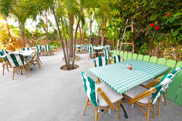Outdoor pizza garden with palm trees.