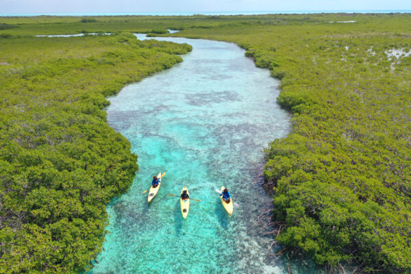 Aerial view of kayaking in a mangrove tidal channel in the Turks and Caicos