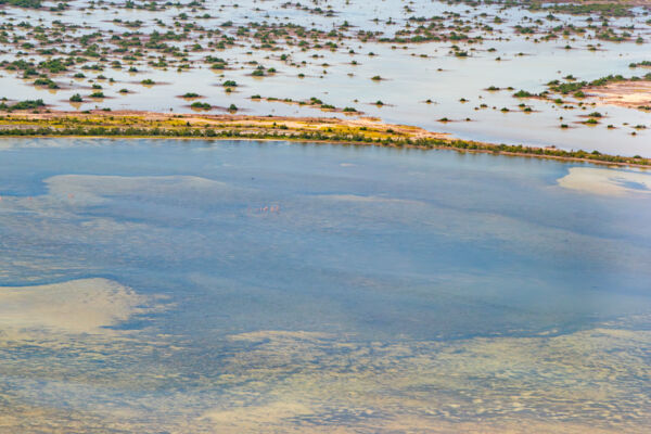 Aerial view of the southern Big Pond shore and flooded plain.