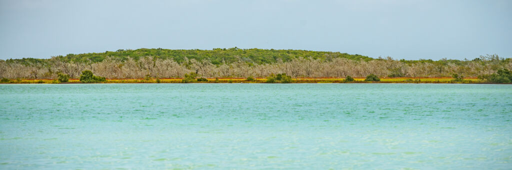 Northwestern shore of Big Pond.
