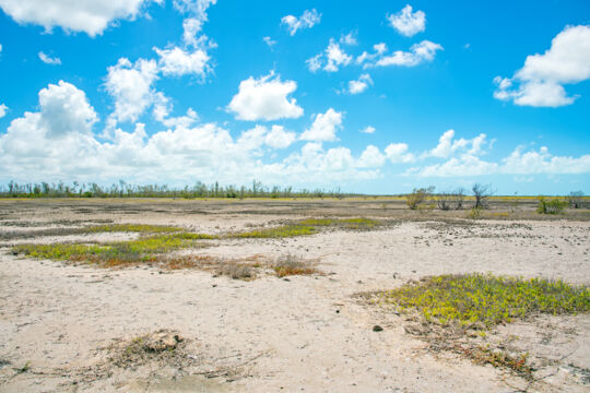 Dry plains in the Ramsar Nature Reserve, Middle Caicos.