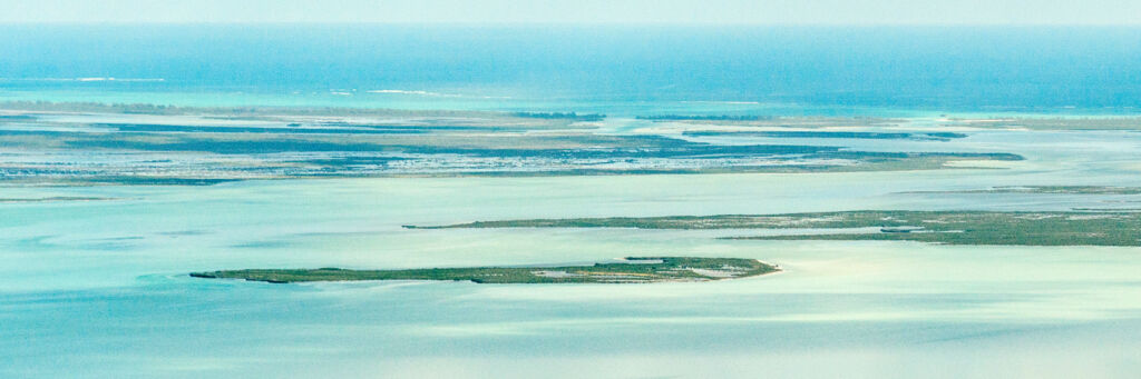 Aerial view of Big Southern Bush