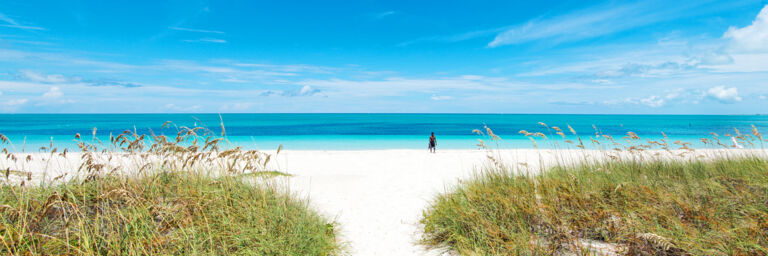 The Bight Park Providenciales Turks Caicos Islands The Bight Park Providenciales Turks Caicos Islands